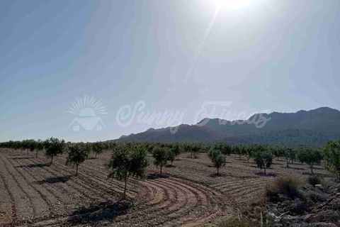 Helårsgrund i Yecla, Murcia, Yecla - € 300.000 | Ref: SF0504 - foto 11